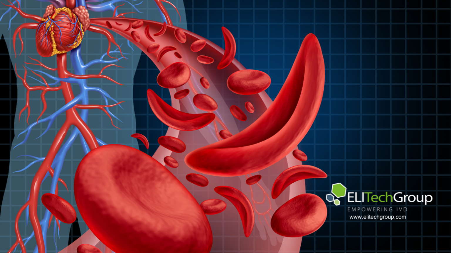 We Are Transforming Into Vitalscientific